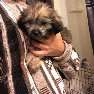 Meet your Posher, Angelo